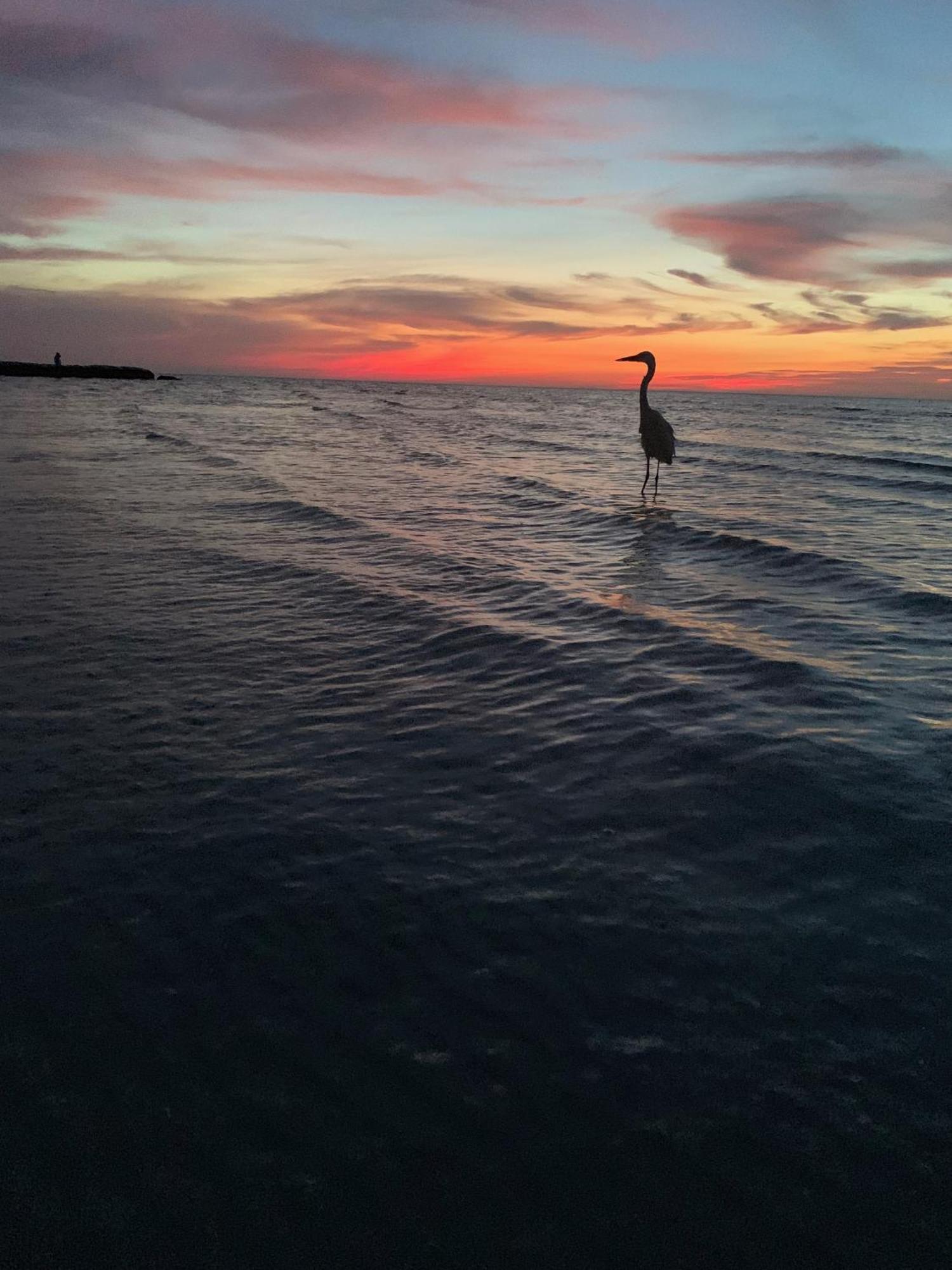 مبيت وإفطار Casa Noma-Noma Holbox المظهر الخارجي الصورة